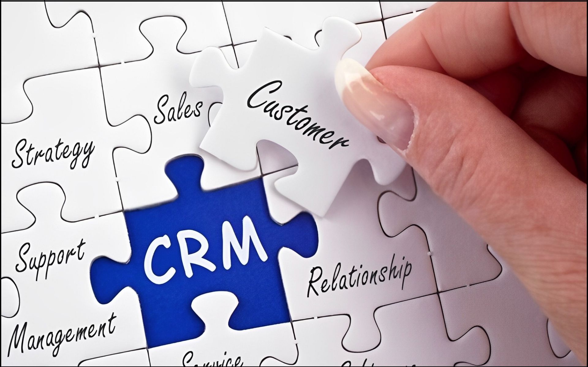 Custom CRM Solution