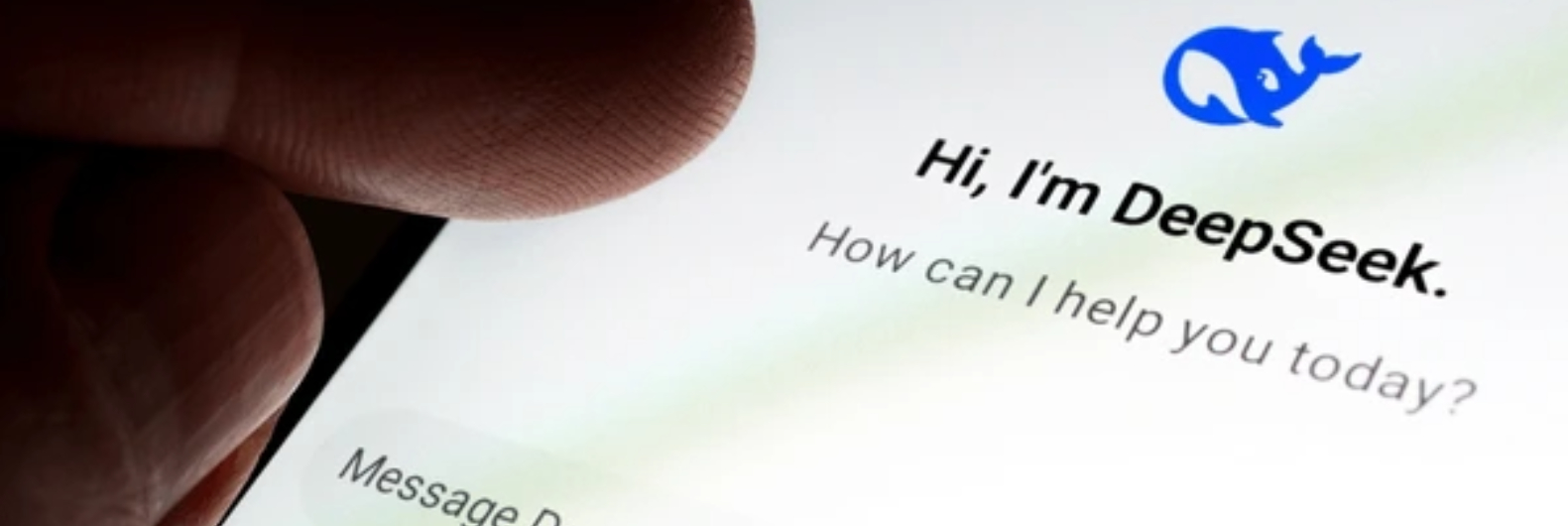 DeepSeek AI